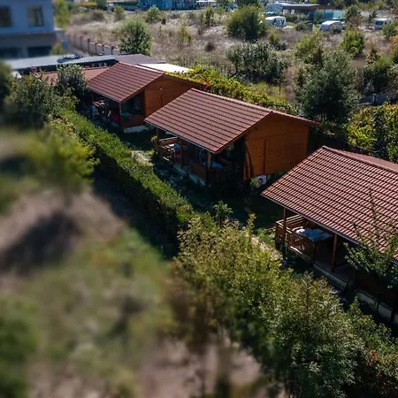 гнездото The Nest 1