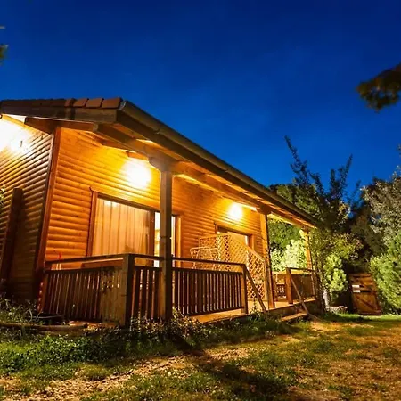 гнездото The Nest 1 Lozenets