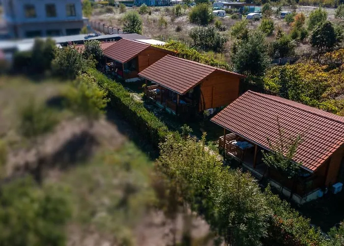 гнездото The Nest 1