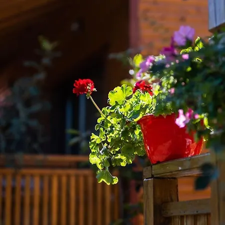 гнездото The Nest 1 3*